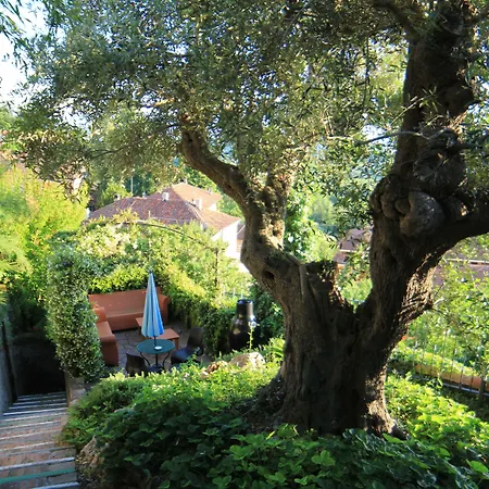 Felicin - Ristorante 